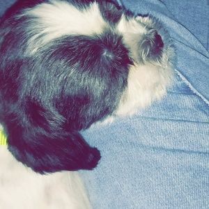 Meet your Posher, Agatha